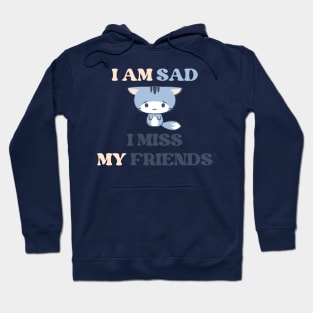 I am sad i miss my friends Hoodie